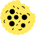 Cookie